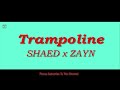 SHAED x ZAYN - Trampoline 1 Hour