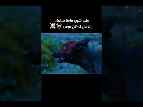 كلب شرب مادة سامة وتحول لكائن مرعب فيديو اكسبلور لقط  هتضحك  افلام فيلم