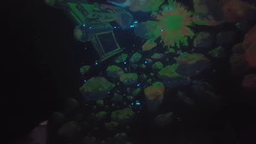 Asteroids Deluxe Vector issue