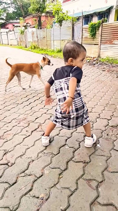 'Pachare Pachare SONG is About to Get STUCK in Your Head!'