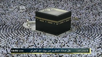 (وقالوا حسبنا الله ونعم الوكيل) تلاوة خاشعة للسديس