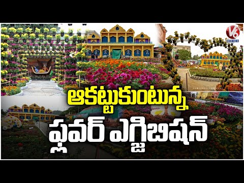 Tirumala Srivari Brahmotsavams Dazzle with a Magnificent Flower Exhibition | V6 News - V6NEWSTELUGU