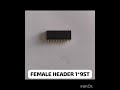 Female Header Connector