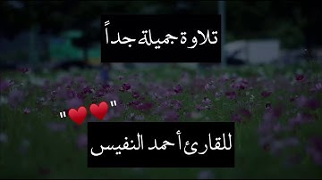 ولا تيأسوا من روح الله | تلاوة جميلة جداً للقارئ احمد النفيس من سورة يوسف