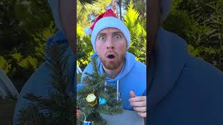 Whose Christmas Tree Is The Tallest 😳🎄🤣 #Shorts #Khamitovy #Martaandrustam