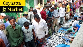 Goyhatta Fish Market | Village Fish Market Bangladesh | গ্রামীন হাট বাজার