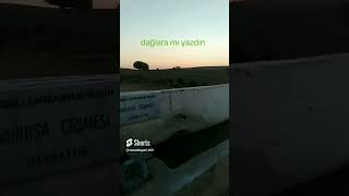 Yüksek Yaylada Sabah Keyfi Su Doğa Yaşamdır Dağlara Mı Yazdın Yasin Yaşlı Youtube Shorts Izle