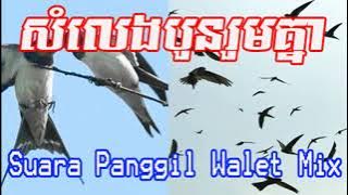 Suara Panggil Walet Mix4 in one