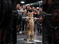 Cat Pulls OFF Olympic Lift at Gym — Crowd Goes Wild! #cat #gym #viral