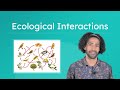 Resource Competition and Energy Flow in Ecosystems