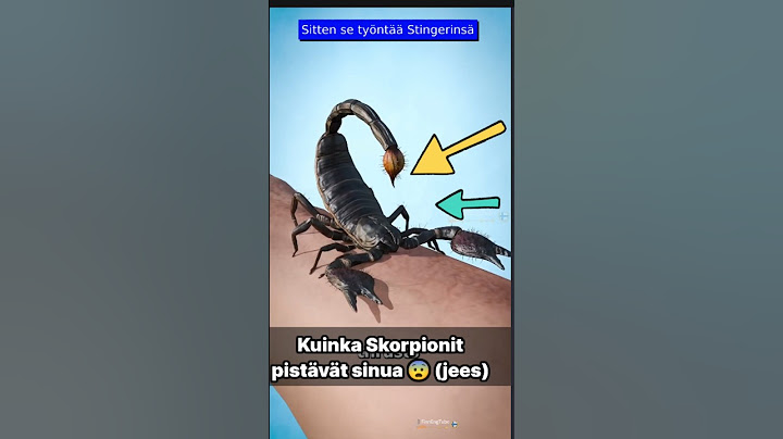 Kuinka Skorpionit pistävät sinua 😨 #shorts #short