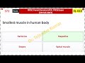 Q. 000022. Smallest muscle in human body