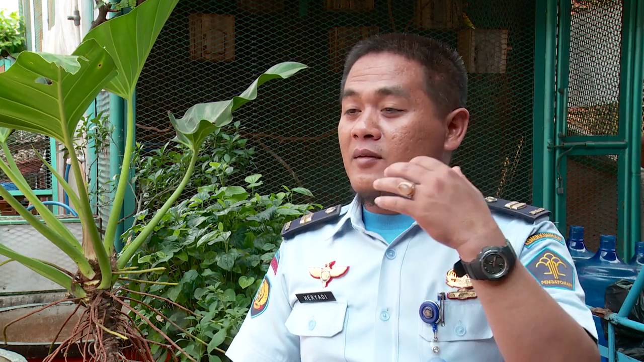 WISH COME TRUE - KOKI RUTAN