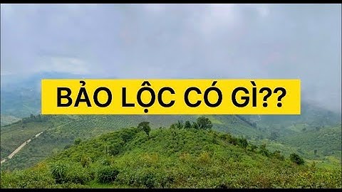 Cắm trại săn mây tại Đồi Vô Ưu | Bảo Lộc