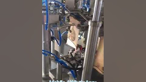 Korean garlic 8 working station rotary doypack bagging machine operation video from Wilpac