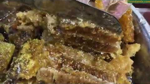 Cận cảnh vắt mật ong rừng siêu thơm ngon