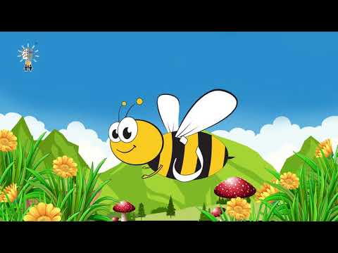 Zoo Box حرف النون نحلة