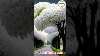 السيد متولى عبد العال