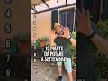 Orto+Da+Coltivare