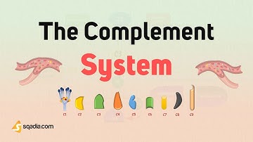 The Complement System - Introduction