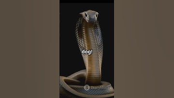 Snake mystery. #ai #youtube #youtubeshorts #viral #snakes #trending #cobra #shorts #biggboss #amazon