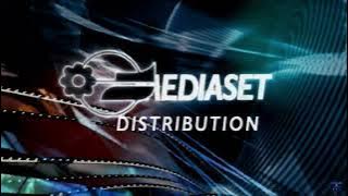 Mediaset distribution - 2010