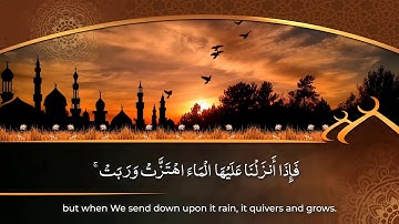 من أخشع التلاوات التاريخية وأبكاها للشيخ خالد الجليل - سورة فصلت