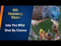 DD Morning Show | Into The Wild | Shot By Chance | 8th May 2024