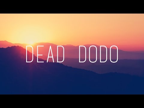 The Naked and Famous - Young Blood (Renholdër Remix)