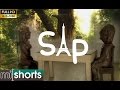 Sap  an experimental short film