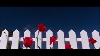 Blue Velvet - Opening Sequence Resimi