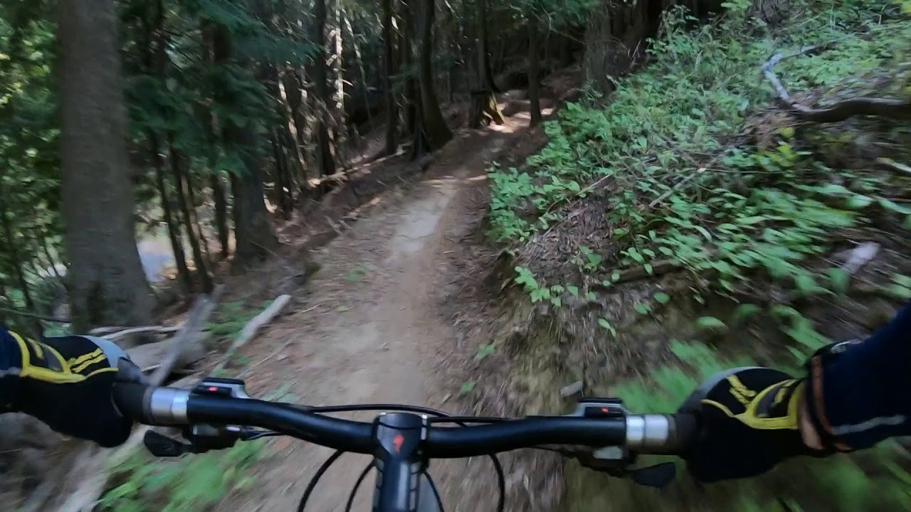 Mountain Biking on Moscow Mountain, Idaho