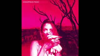 Widespread Panic - Pilgrims