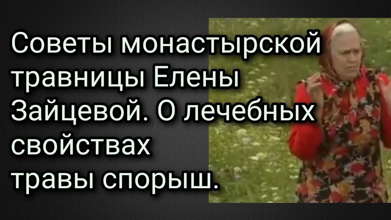 Лечение травницы зайцевой. Спорыш Монастырская травница. Советы травницы Елены Федоровны Зайцевой. Книга монастырской травницы Елены Зайцевой.