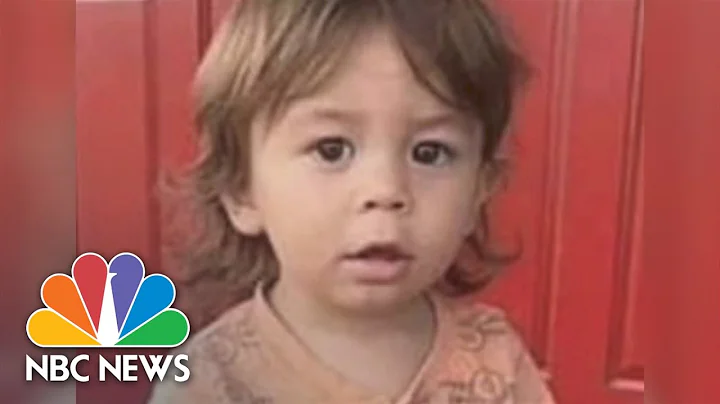 Mother Of Missing Georgia Toddler Arrested, Accuse...