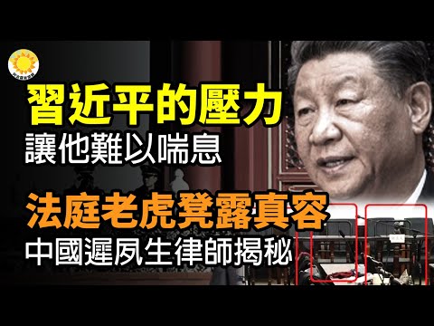 🔥习近平的压力 让他难以喘息；云南法庭“铁制LAOHU凳”露出真容！迟夙生律师揭秘；揭秘彪悍国际航运黑马 中共魔影浮现【阿波罗网CW】