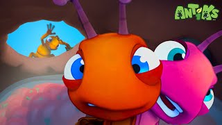 My Dear Cousin 🔴NEW EPISODE🔴| Funny Cartoons For The Family! | Funny Videos for kids | ANTIKS 🐜🌿