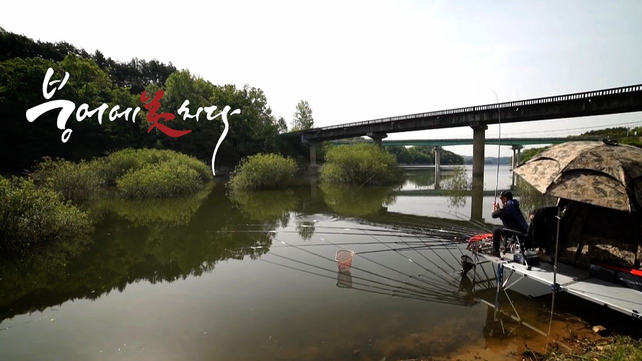 [97화] 안동댐 경북 안동시 붕어낚시 - FTV 붕어에미치다