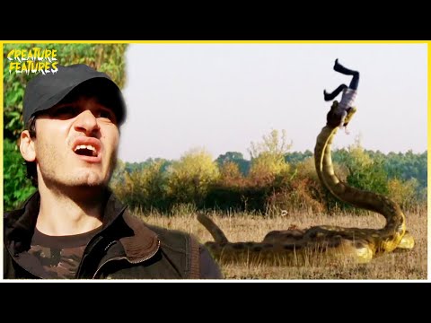 Chased By The Anaconda | Anacondas: Trail of Blood | Creature Features