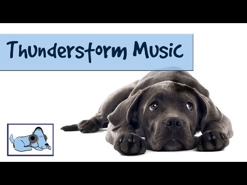 relaxing music for dogs during thunderstorms