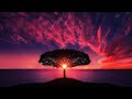 Relaxing Music for Stress Relief and Sleep, Deep Sleeping Music, Relaxing Music, Ocean Wave Sounds