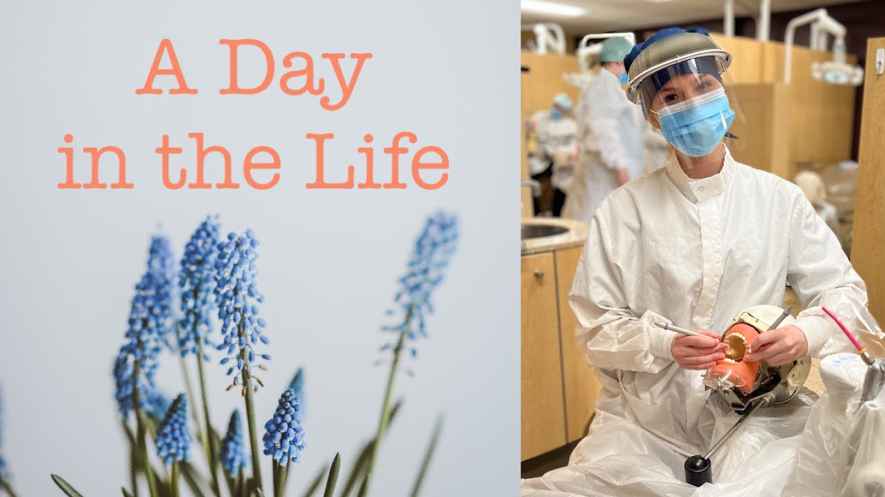 DAY IN THE LIFE OF A DENTAL HYGIENE STUDENT - YouTube