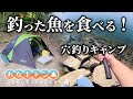 【穴釣りキャンプ】釣った魚で作るキャンプ飯は驚きの味だった！
