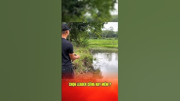 Lý do tại sao nên dùng leader cứng khi đi câu lure #lkhoa #cauca #caulure #shorts
