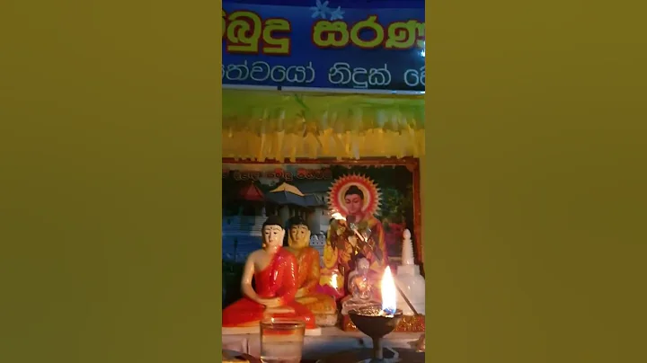 Vesak Day Sri Lanka 2022 🙏 | Vesak day  morning 🌻  | Vesak Festival 🙏 | 2022  Sri lanka vesak ☘️