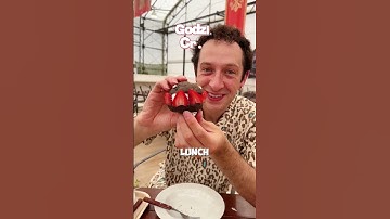 Godzilla Interception Operation - Nijigen no Mori