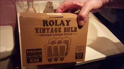 Rolay Vintage Edison Style Bulbs & an Lussuoso Lighting LED 'vintage' Bulb