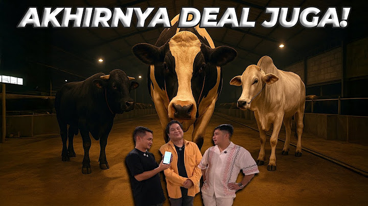 MANAGER GW BELI SAPI JUMBO | SETIA FARM JAWA BARAT