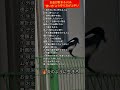お金が貯まる人は、 "使い方より守り方が上手い#炎のように生きて#名言#人生#心に響く言葉#人間関係#人生の教訓#生き方#幸せ#老後#シニア#自己啓発#老後