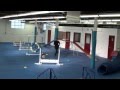 Maggie at Kellars Canine Academy Maggie at Kellars Canine Academy
